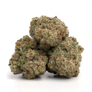 Jack Herer - THC: 18%